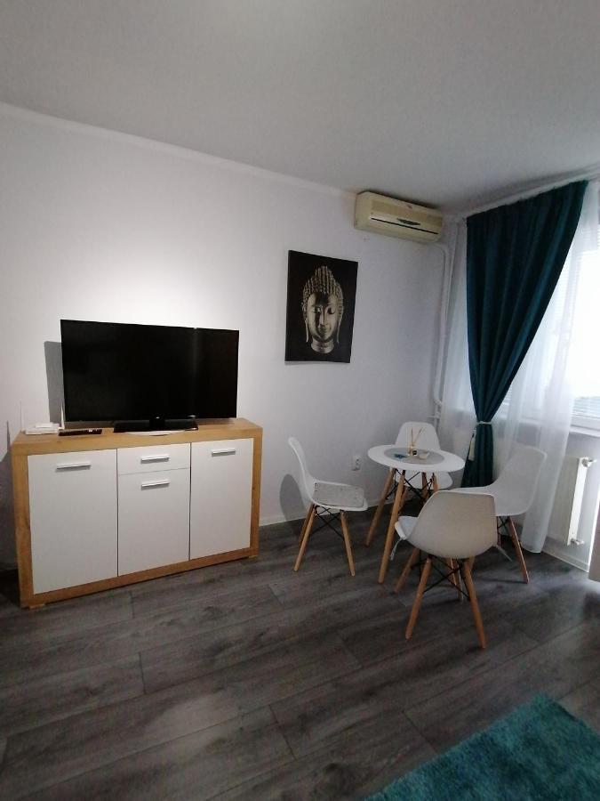 Bega Circumvalatiunii 1 Room Apartment Temešvár Exteriér fotografie