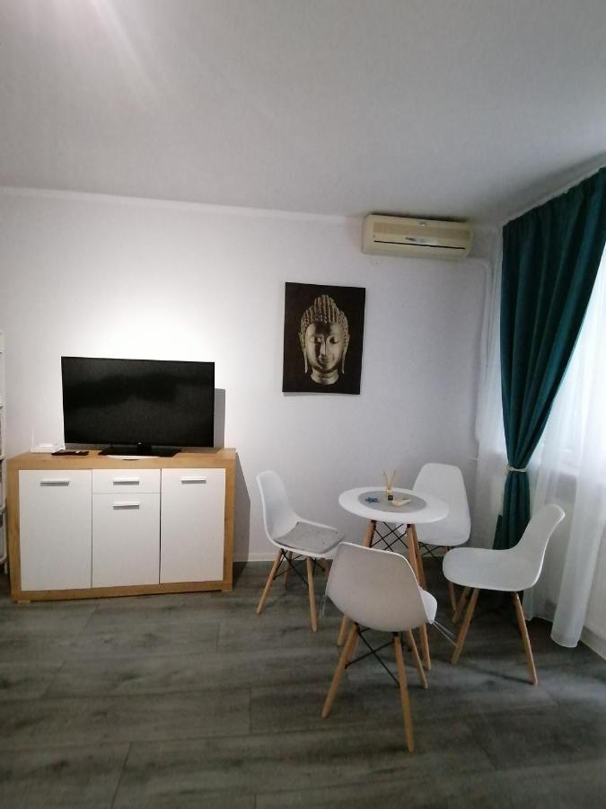 Bega Circumvalatiunii 1 Room Apartment Temešvár Exteriér fotografie
