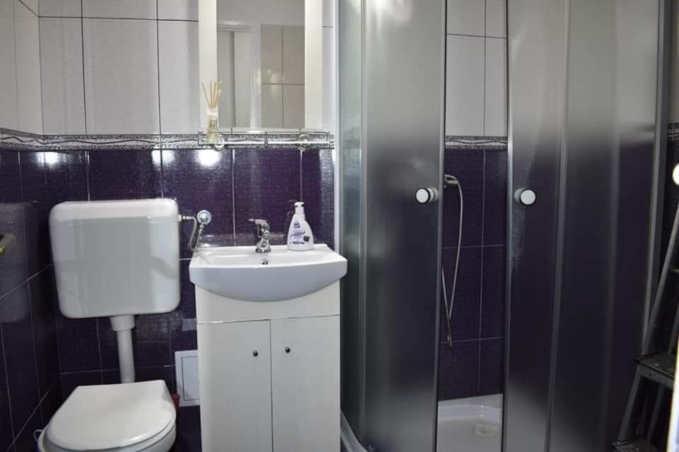 Bega Circumvalatiunii 1 Room Apartment Temešvár Exteriér fotografie